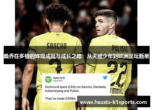 桑乔在多特的辉煌成就与成长之路:从天赋少年到欧洲足坛新星 桑乔在多特的辉煌成就与成长之路:从天赋少年到欧洲足坛新星