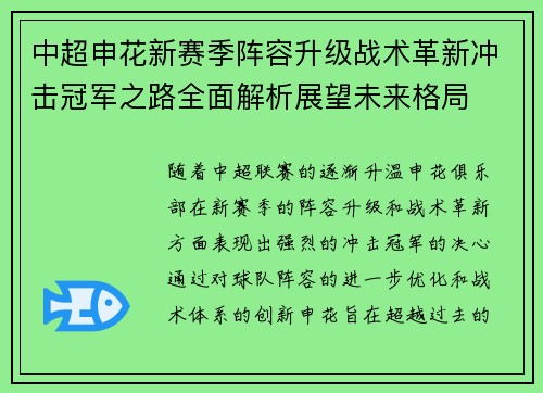 中超申花新赛季阵容升级战术革新冲击冠军之路全面解析展望未来格局